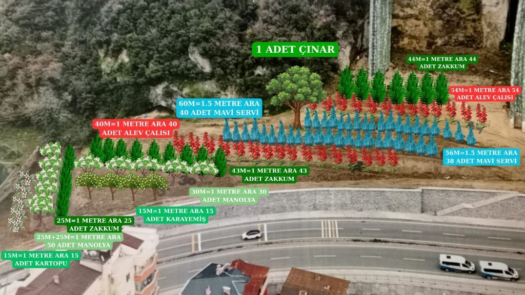 TRAZON BAROSU DOĞA VE HUKUK ORMANI