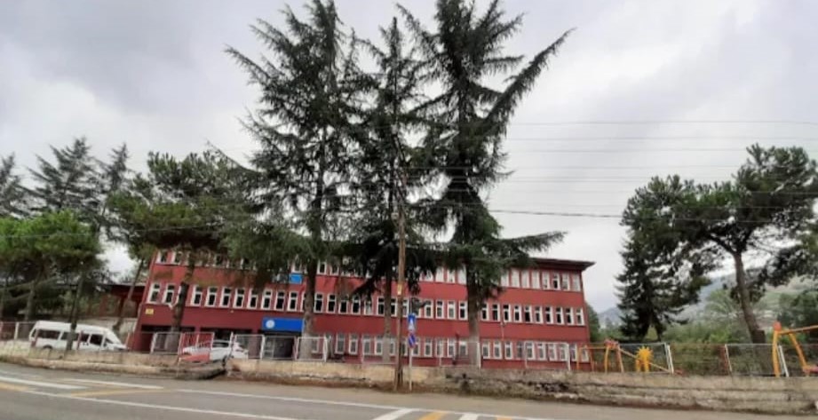 DERECİK ORTAOKULU YIKILIRKEN AĞACLAR YERİNDE KALSIN