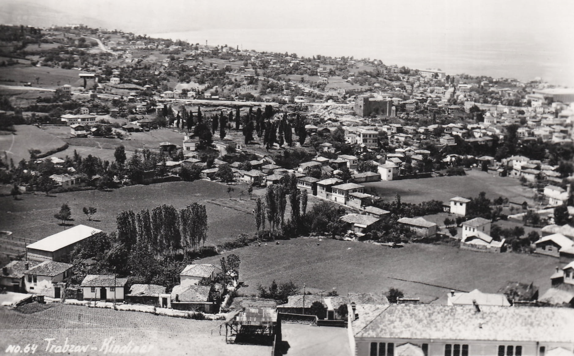 BİZİM UÇURTMALARIMIZ SADECE AĞAÇLARA TAKILIRDI 